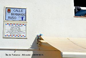 21 ALICANTE L ILE DE TABARCA (86)
